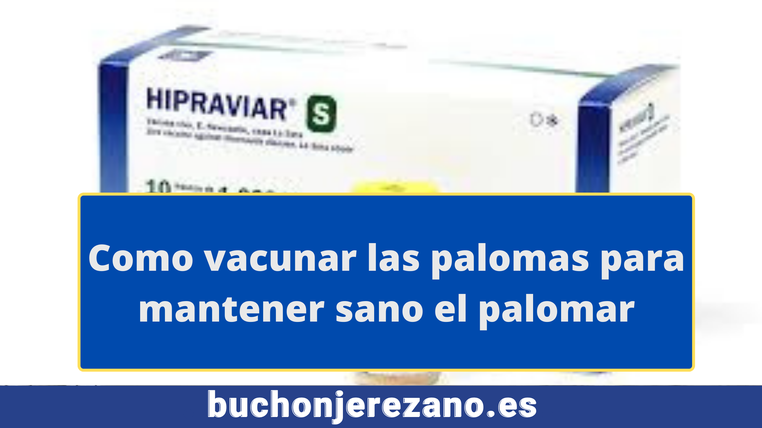Vacunar palomos