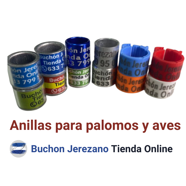 Anillas para palomos personalizadas Buchon Jerezano Tienda Online